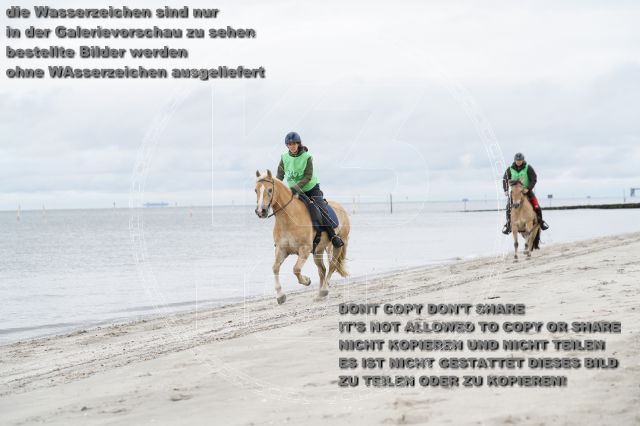 s_K3F04767.JPG